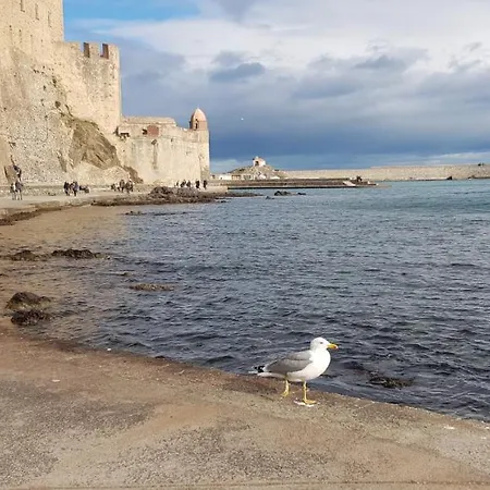 Centre Parking Gratuit Apartment Collioure