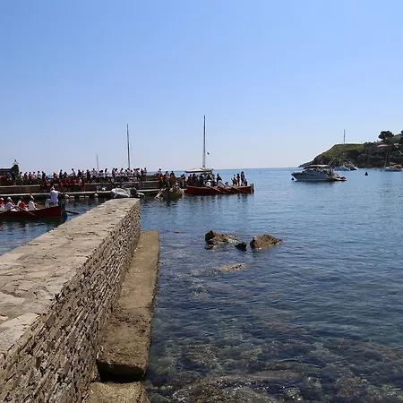 Apartment Centre Parking Gratuit Collioure